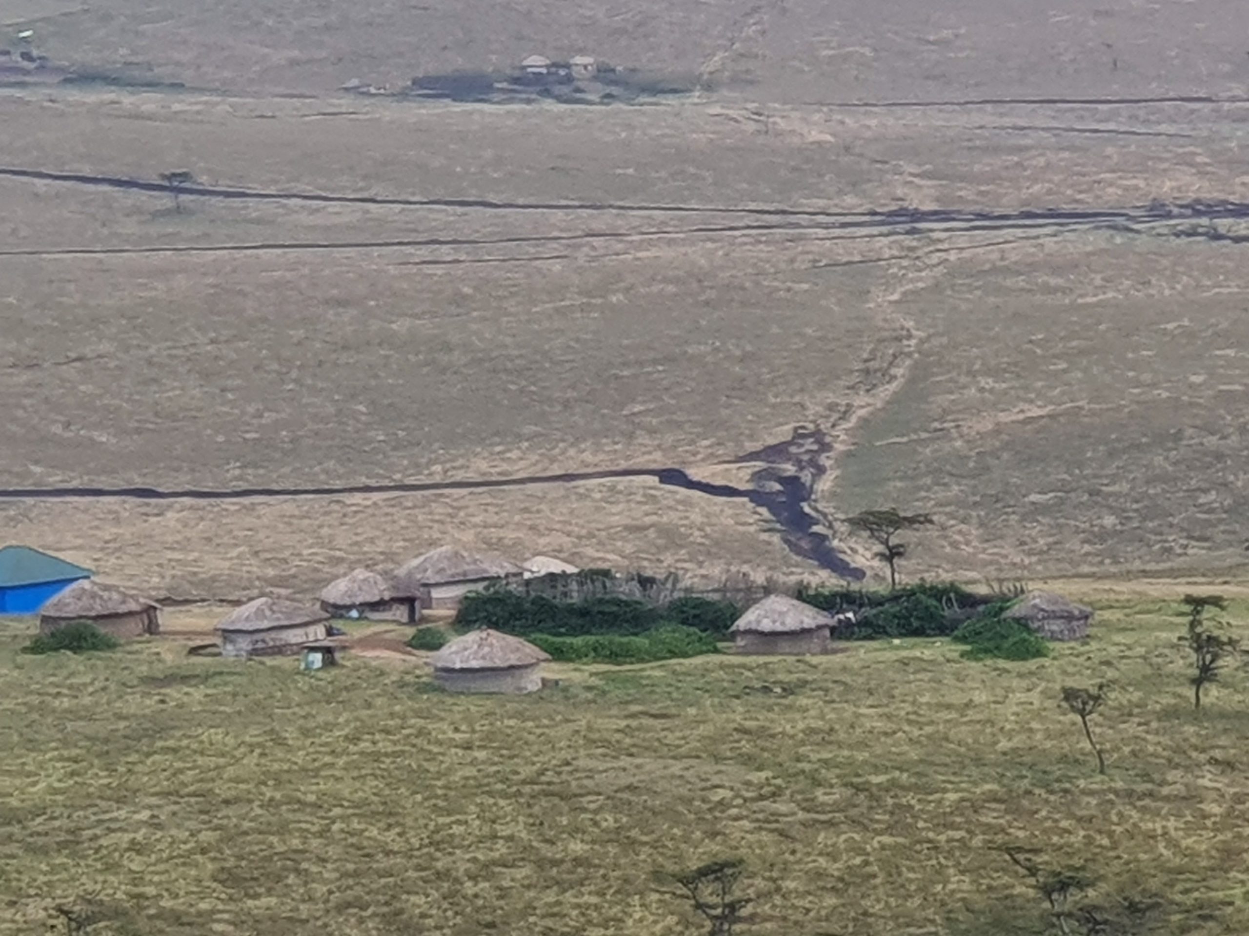 מכתש Ngorongoro בשמורה אפריקה